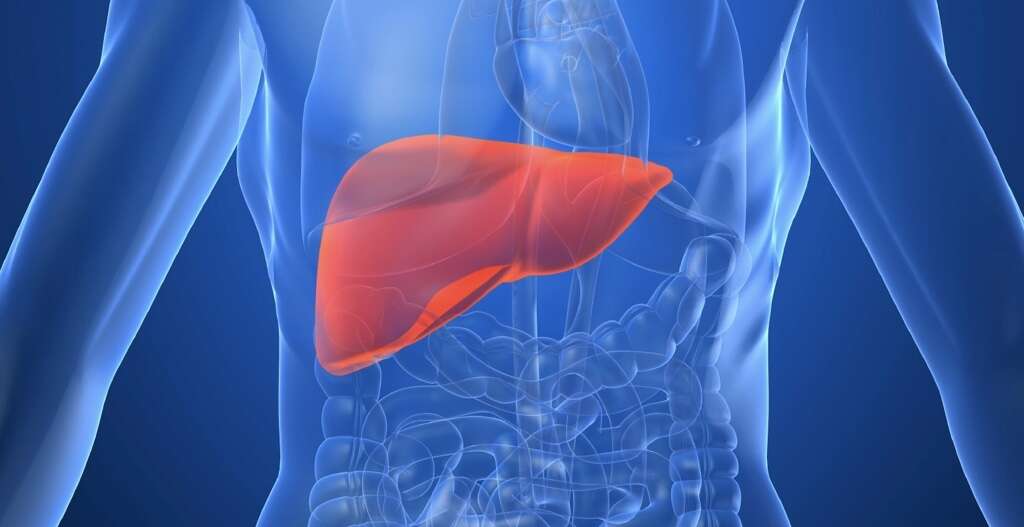 definitions-of-liver-failure-top-definitions