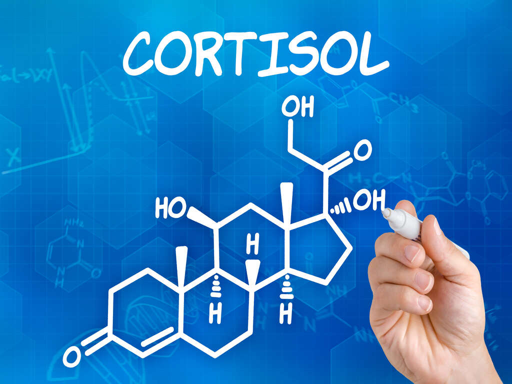 Low Cortisol