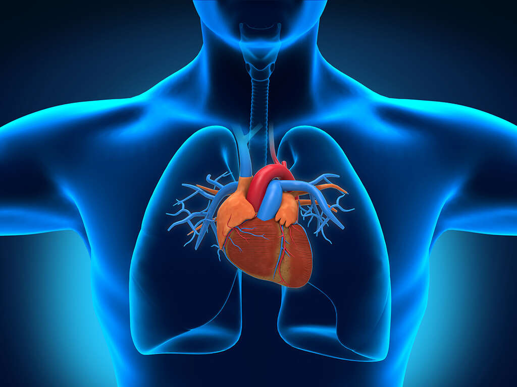 Myocarditis