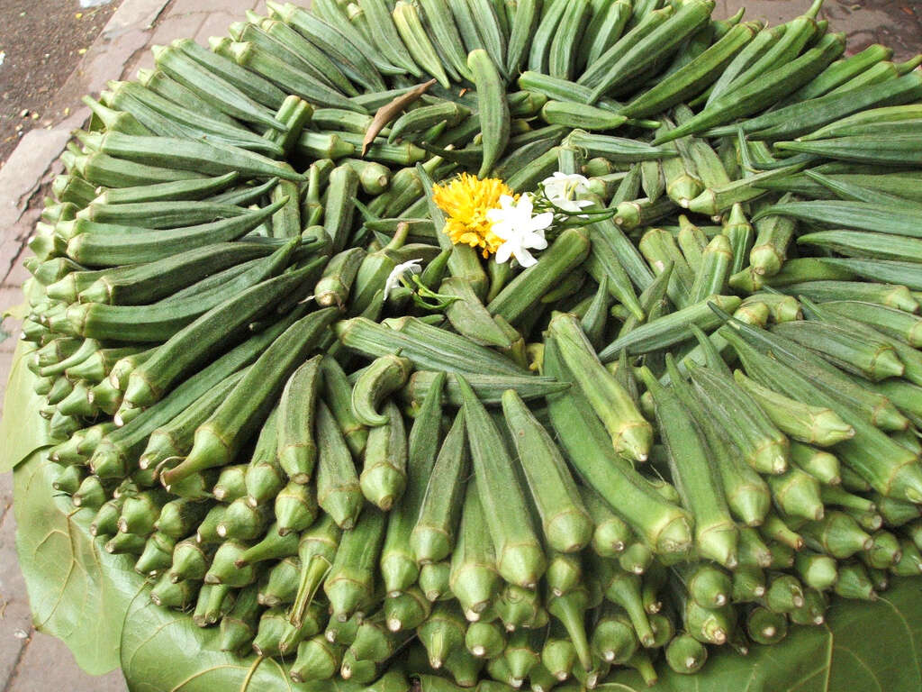 10 Health Benefits of Okra