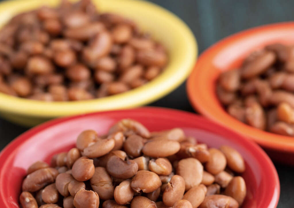 Pinto Beans 10 Health Benefits of Pinto Beans