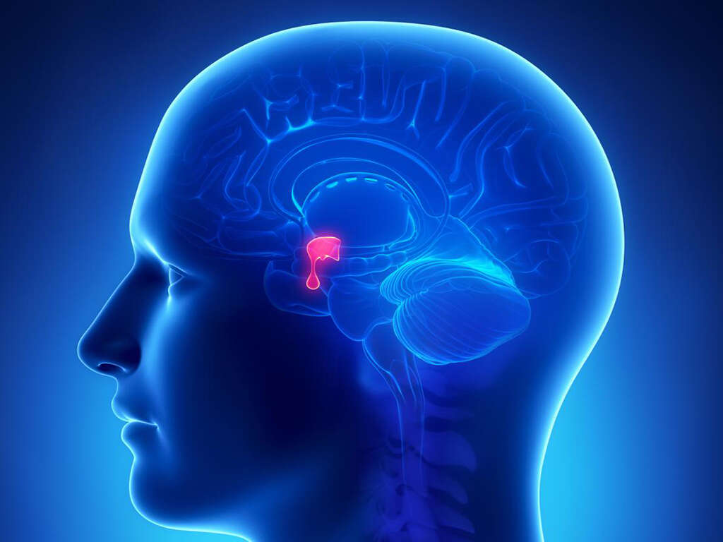 10 Symptoms of a Pituitary Tumor