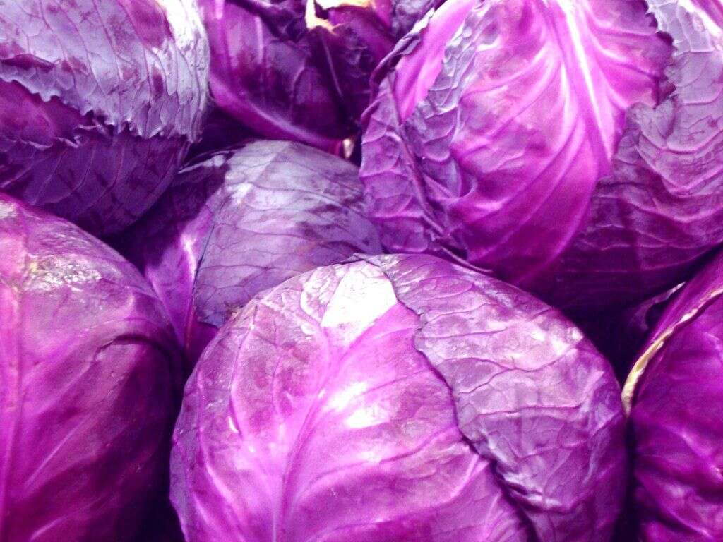 Red Cabbage