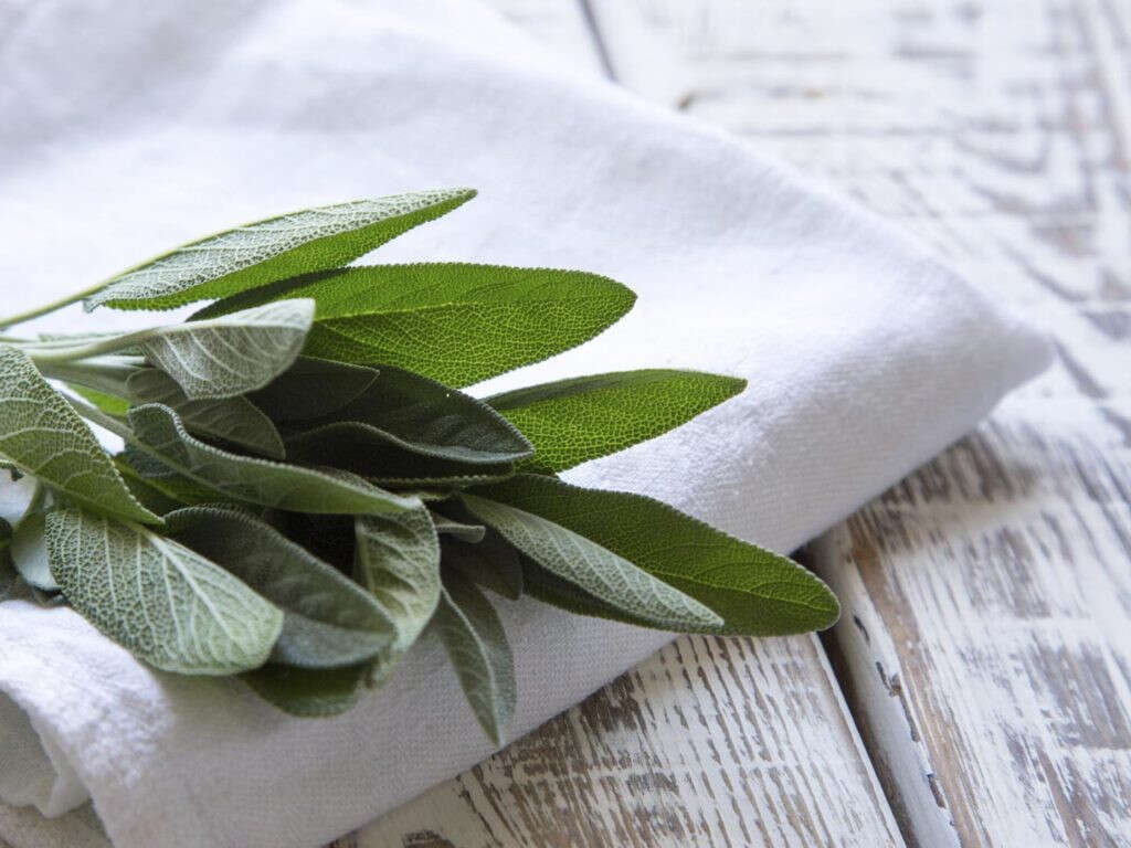 10 Benefits of Sage