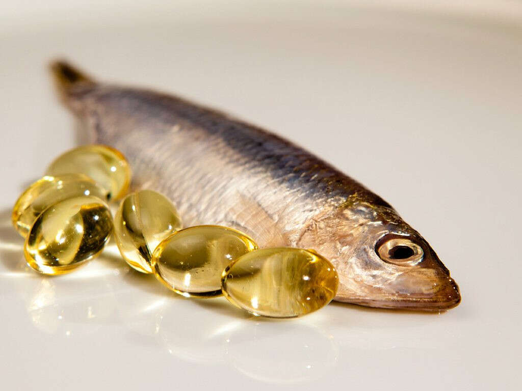 fish oil with fish gelatin