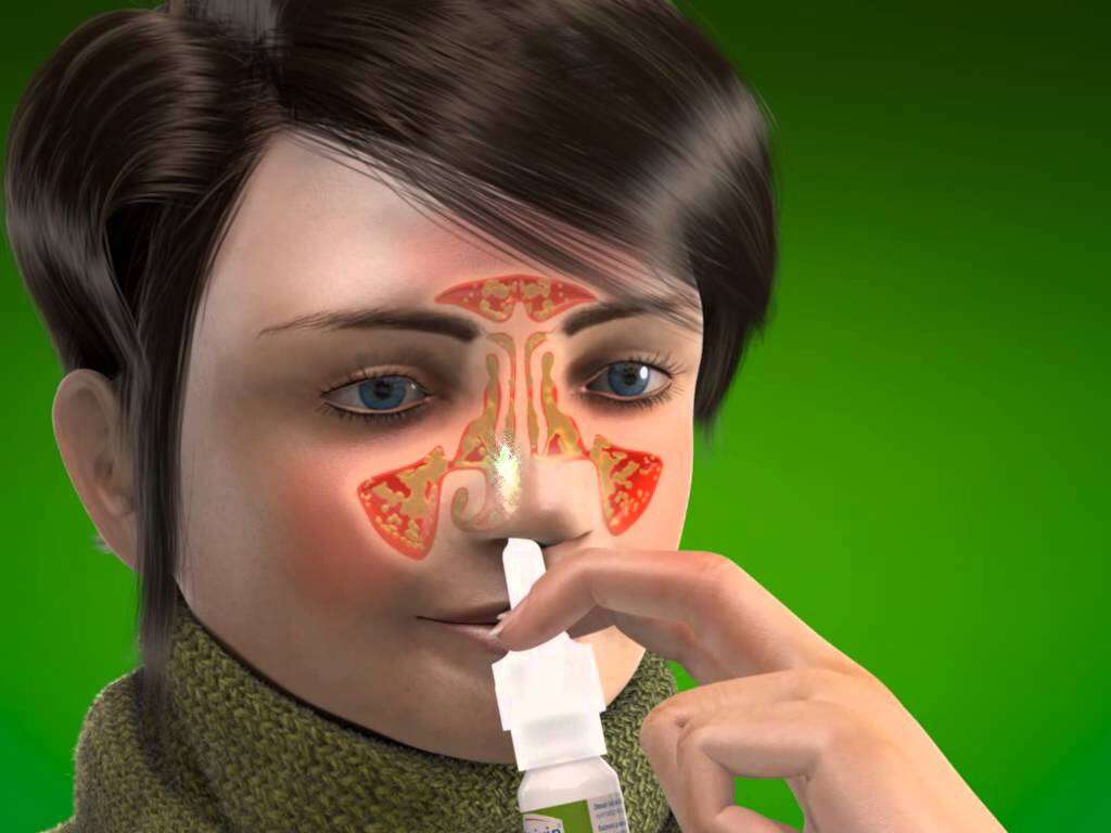 what is the purposes of sinuses