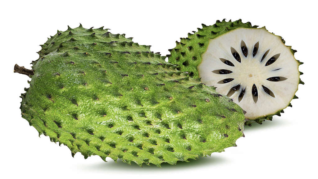 Soursop