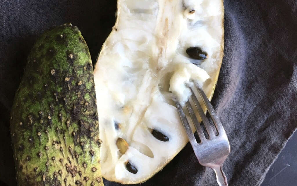 Soursop