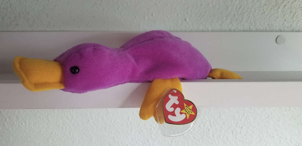 Beanie Babies