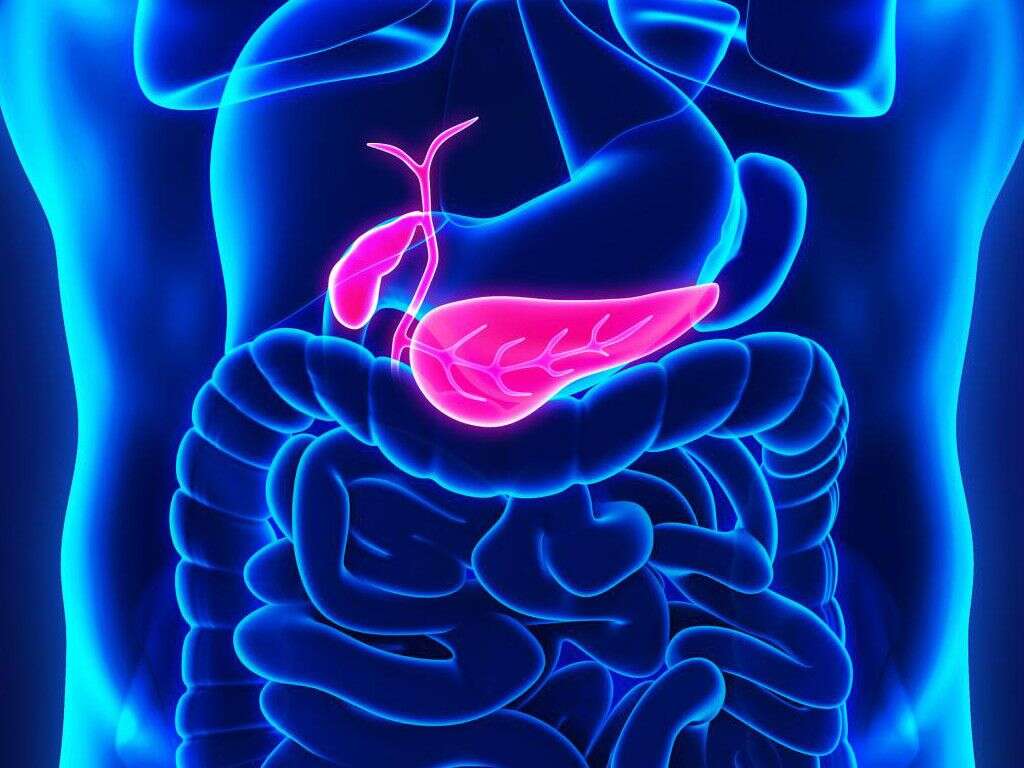 pancreatitis-10-pancreatitis-causes