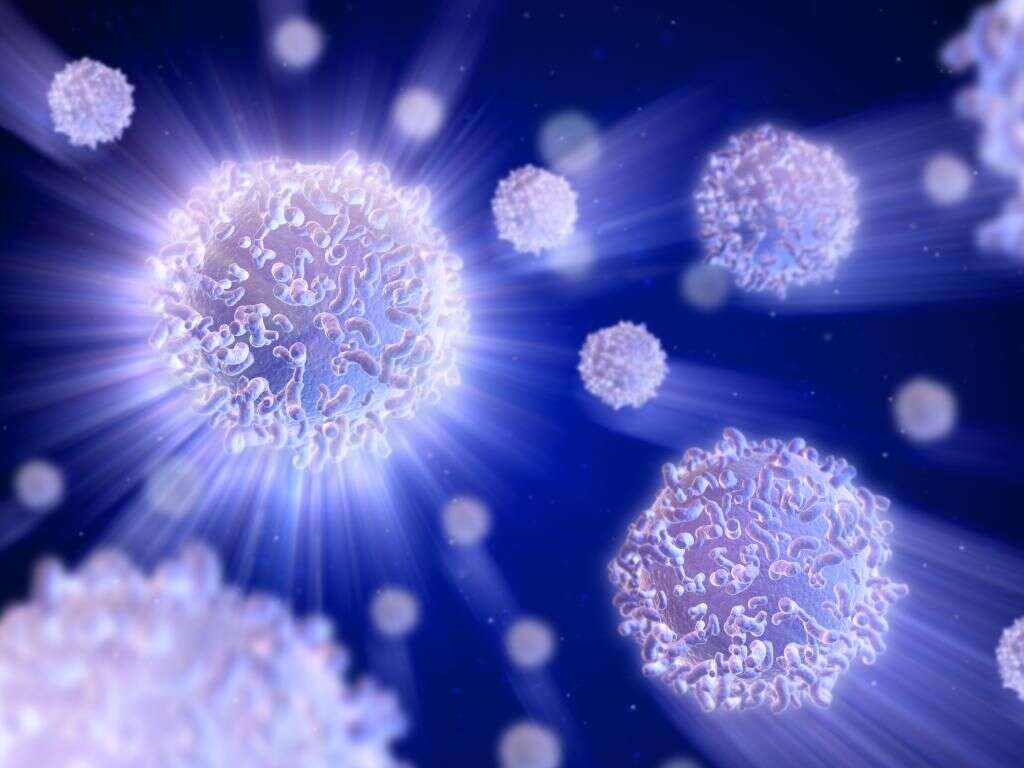 White Blood Cells: What Do White Blood Cells Do?