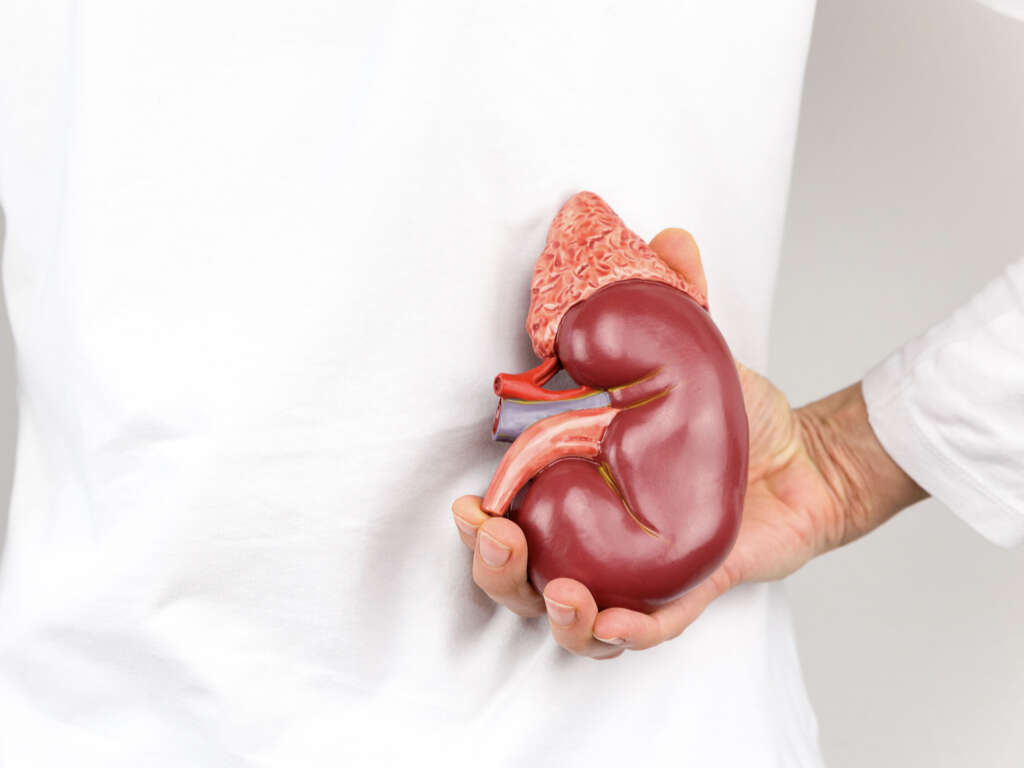 What Is a Kidney Cyst?