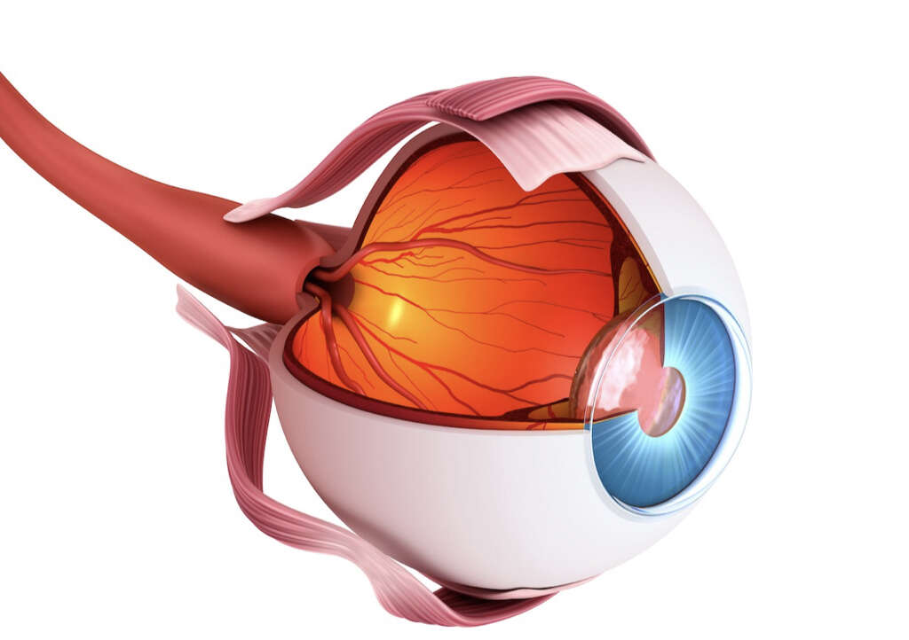 Posterior Vitreous Detachment