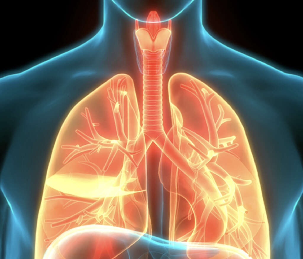 acute-bronchitis-what-is-acute-bronchitis