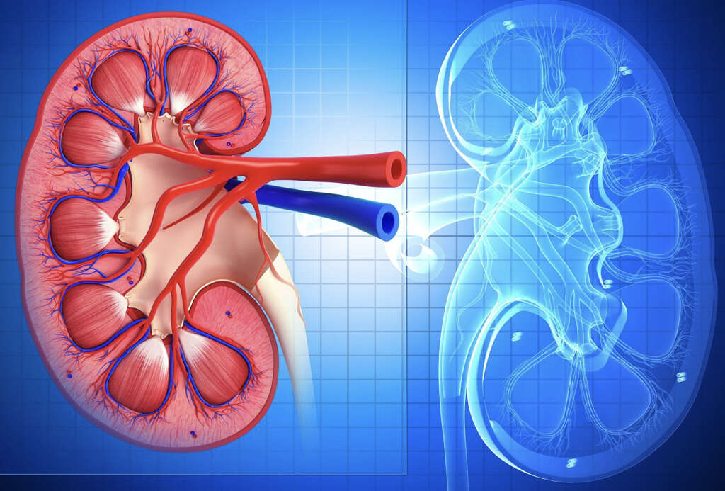 acute-renal-failure-what-is-acute-renal-failure