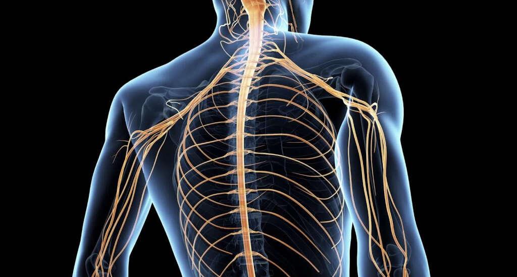 Cervical Stenosis