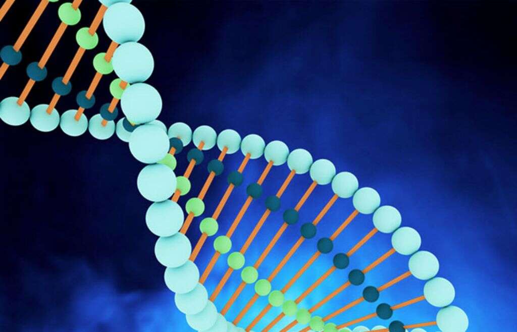 Hashimoto Disease