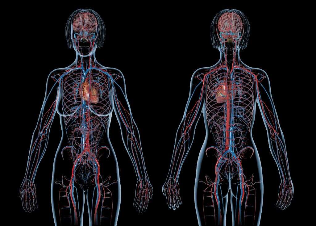 Ischemia