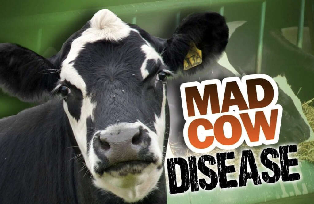 Mad Cow Disease