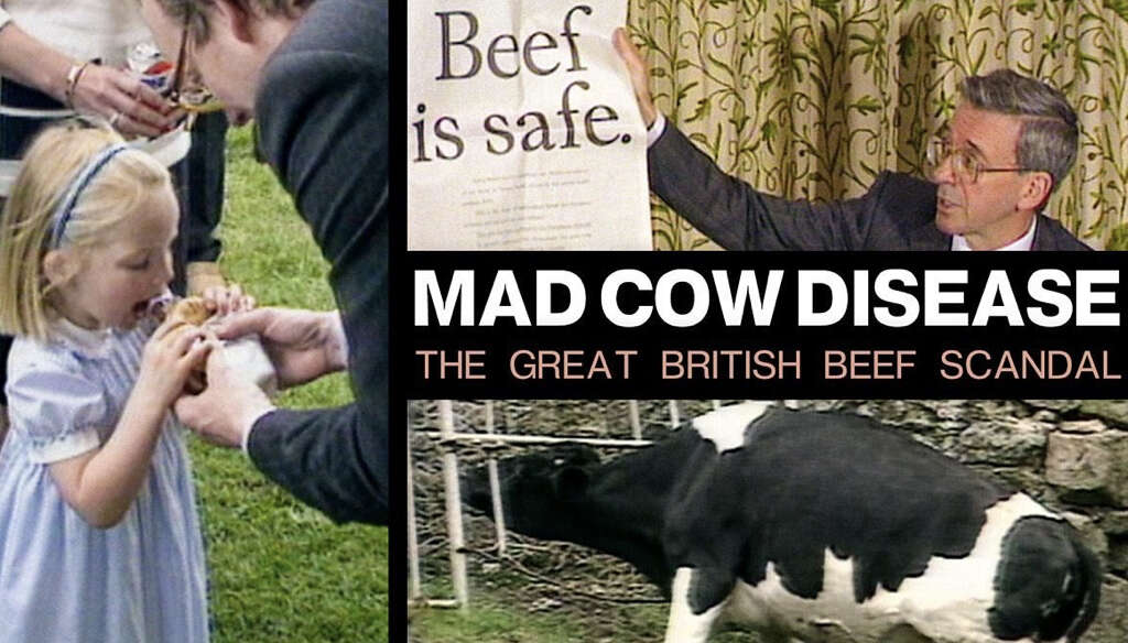 Mad Cow Disease