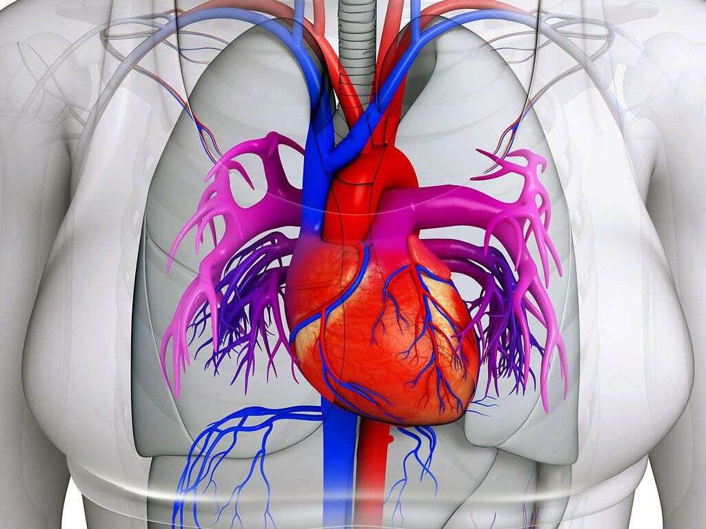 Mitral Valve Prolapse