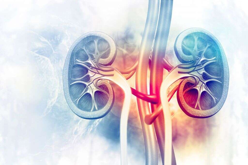 How Is Renal Failure Defined